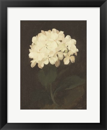 Framed Vintage White Hydrangea Print