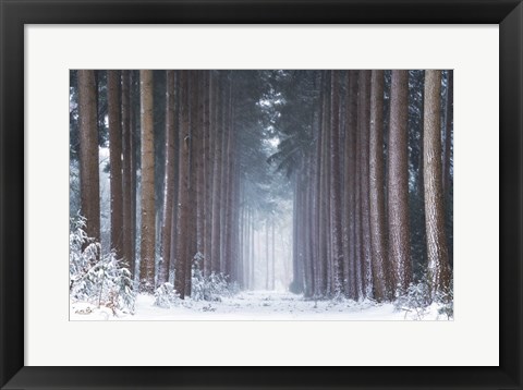 Framed Polar Winter Print