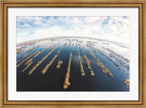 Framed Water World Print