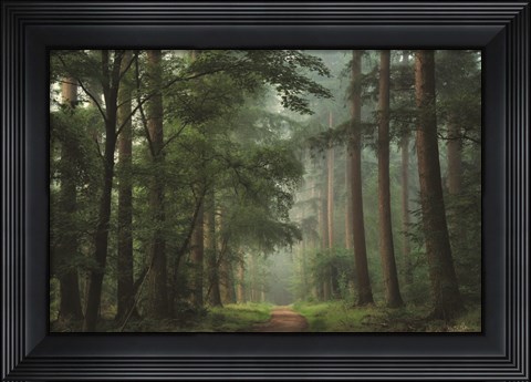 Framed Moody Green Print