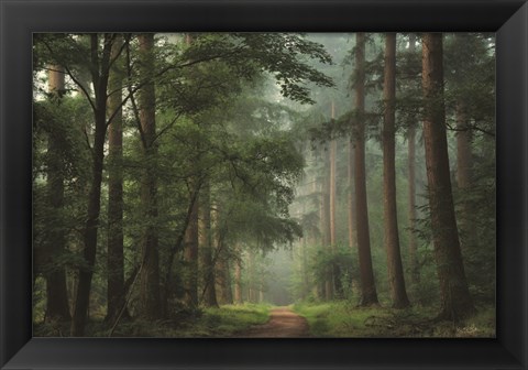 Framed Moody Green Print