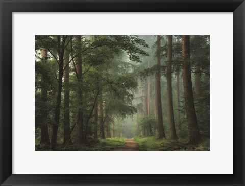 Framed Moody Green Print