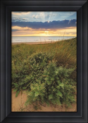Framed Dutch Dunes Print