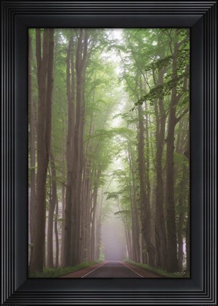Framed Foggy Road Print