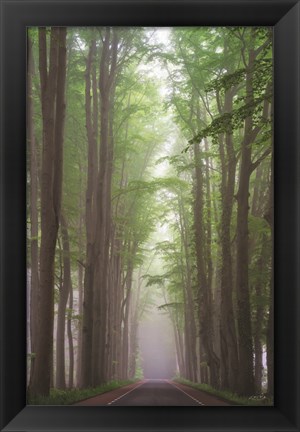 Framed Foggy Road Print