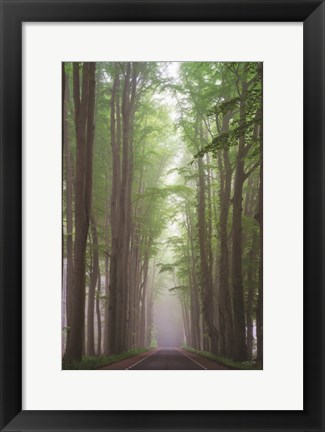 Framed Foggy Road Print