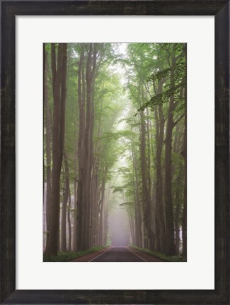 Framed Foggy Road Print