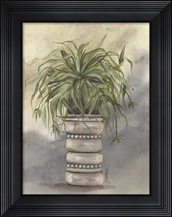 Framed Spider Plant in Pottery Print