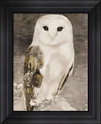 Framed Snowy Owl 1 Print