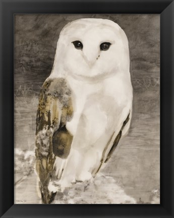 Framed Snowy Owl 1 Print