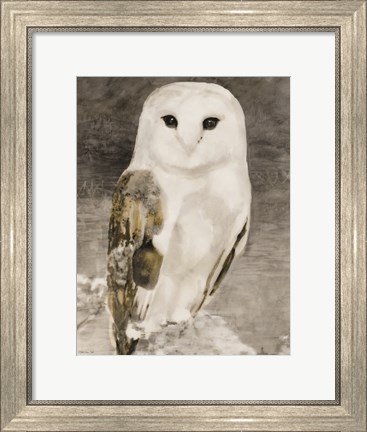 Framed Snowy Owl 1 Print