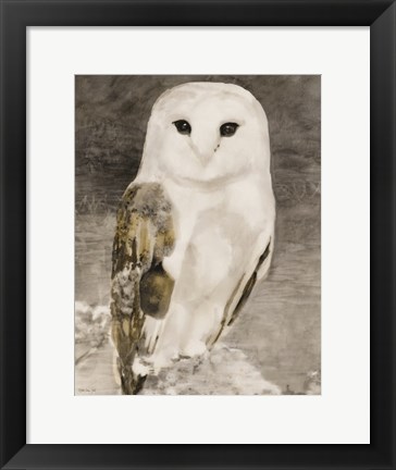 Framed Snowy Owl 1 Print