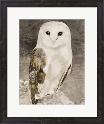 Framed Snowy Owl 1 Print