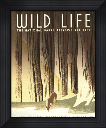 Framed Wild Life Print