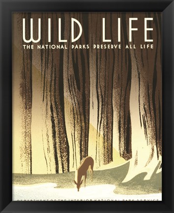 Framed Wild Life Print