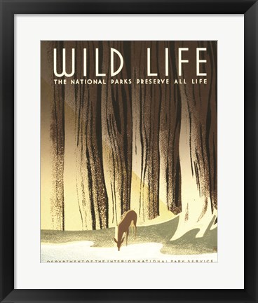 Framed Wild Life Print