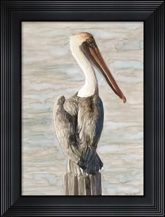 Framed Brown Pelican 1 Print