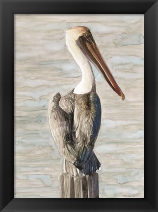 Framed Brown Pelican 1 Print