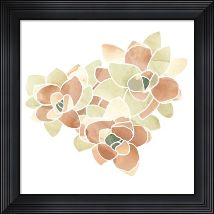 Framed Succulent Cameo VII Print