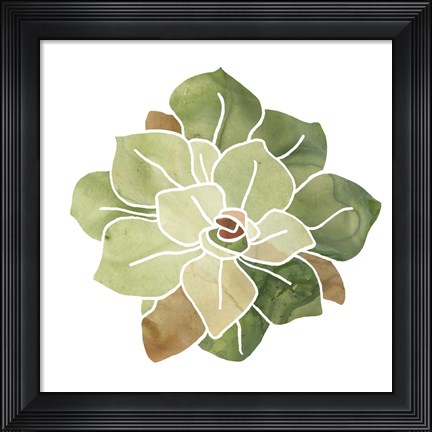 Framed Succulent Cameo XVI Print