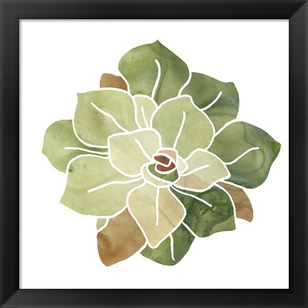 Framed Succulent Cameo XVI Print