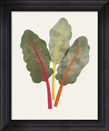 Framed Organic Veg V Print