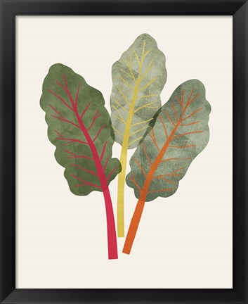 Framed Organic Veg V Print