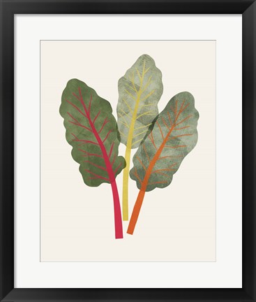 Framed Organic Veg V Print