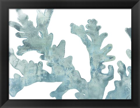 Framed Blue Macro Coral II Print