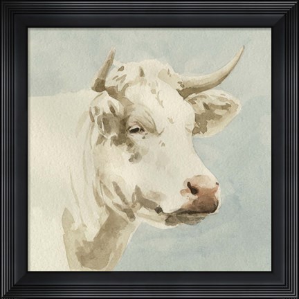 Framed Ferdinand II Print