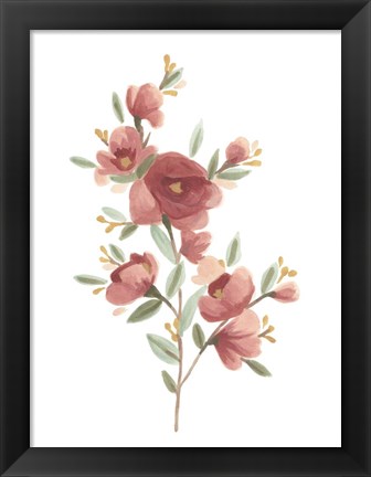 Framed Wildflower Sprig IV Print