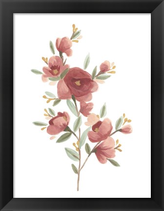 Framed Wildflower Sprig IV Print