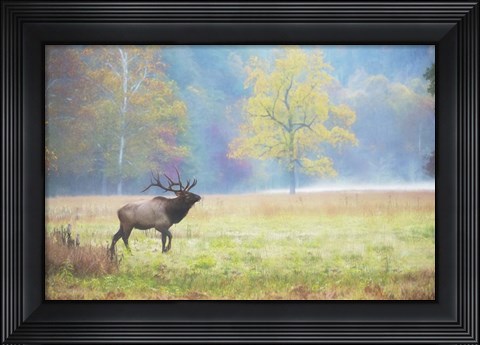 Framed View At Rest IV Print