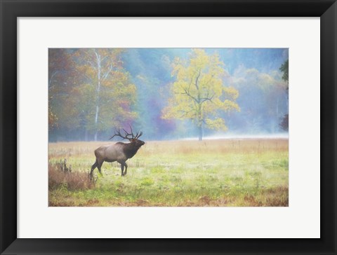 Framed View At Rest IV Print