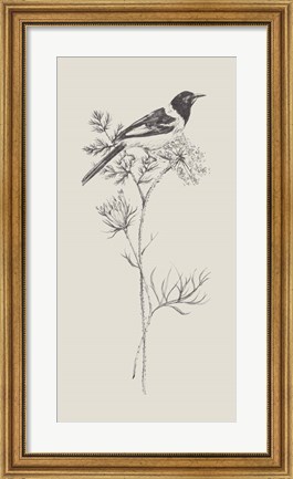 Framed Nature with Bird I Print