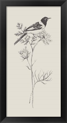 Framed Nature with Bird I Print