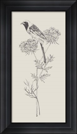 Framed Nature with Bird II Print
