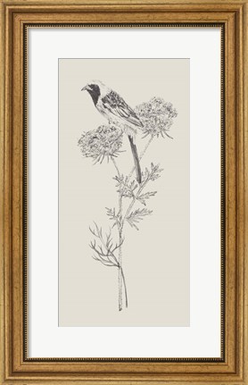 Framed Nature with Bird II Print