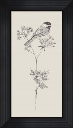 Framed Nature with Bird III Print