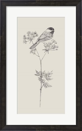 Framed Nature with Bird III Print
