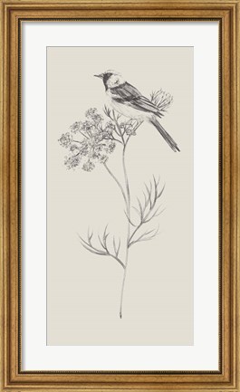Framed Nature with Bird IV Print