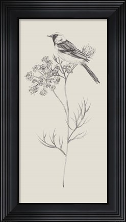 Framed Nature with Bird IV Print