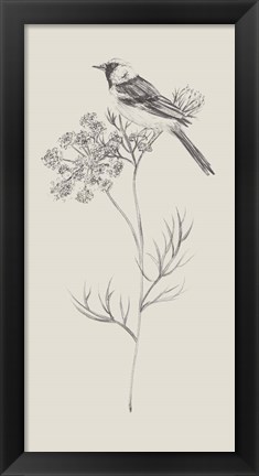 Framed Nature with Bird IV Print