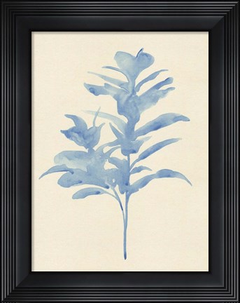 Framed Verditer Fig I Print