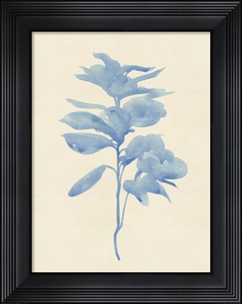 Framed Verditer Fig III Print