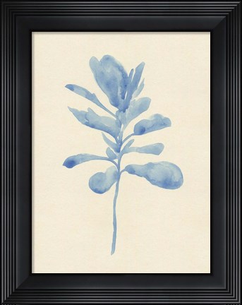 Framed Verditer Fig IV Print