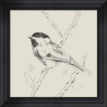 Framed Black Capped Chickadee II Print