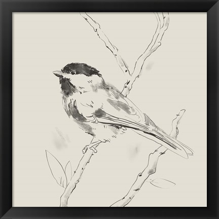 Framed Black Capped Chickadee II Print