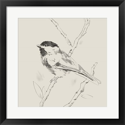 Framed Black Capped Chickadee II Print