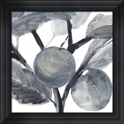 Framed Rustic Vine I Print